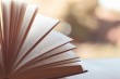 Textual & scriptural proofs on testimonials of his prophethood.