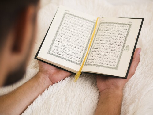 احكام الميم الساكنة