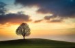 Miracles of Prophet Muhammad