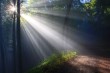 Intellectual Proofs which Support the Prophethood of the Messenger of God